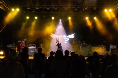 Portorosˇke nocˇi 2024, HORNETS-30